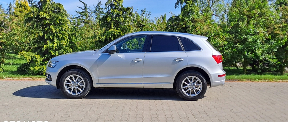 Audi Q5 cena 62900 przebieg: 178000, rok produkcji 2012 z Sędziszów Małopolski małe 191